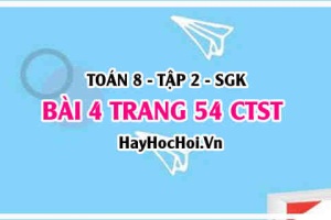 Bài 4 trang 54 Toán 8 Tập 2 Chân trời sáng tạo
